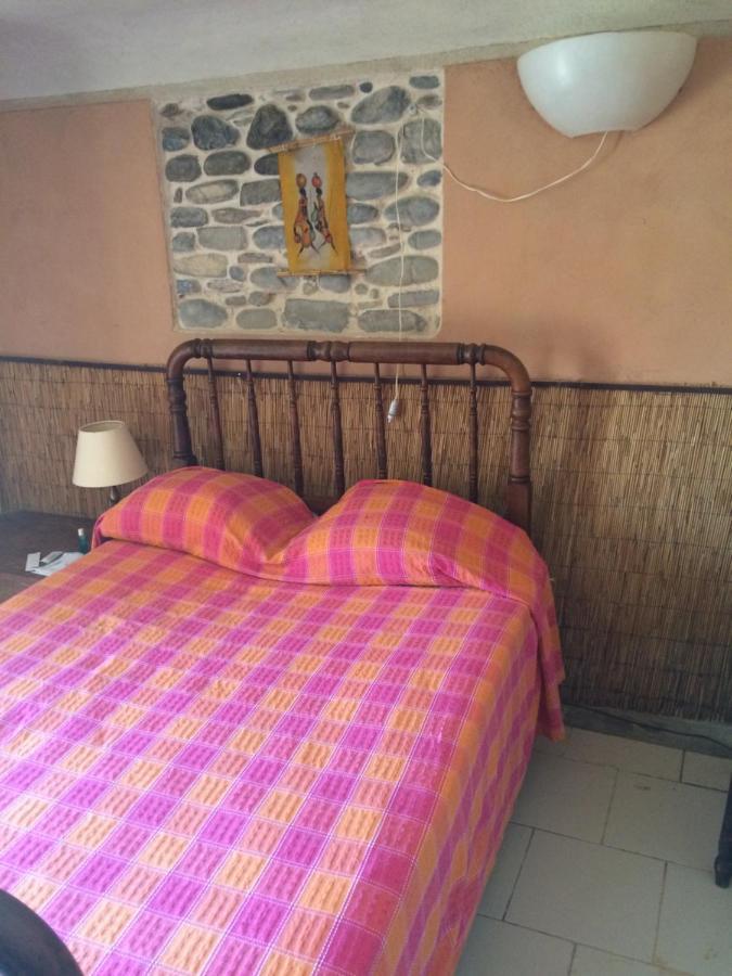 Casa Campo, Casa Rural Entre Jaca Y Anso Biniés Eksteriør billede